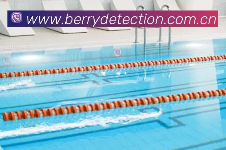 多媒体互动体验